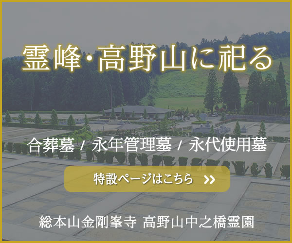 ERJ EiNǗEL
